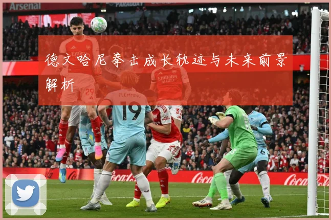 德文哈尼拳击成长轨迹与未来前景解析