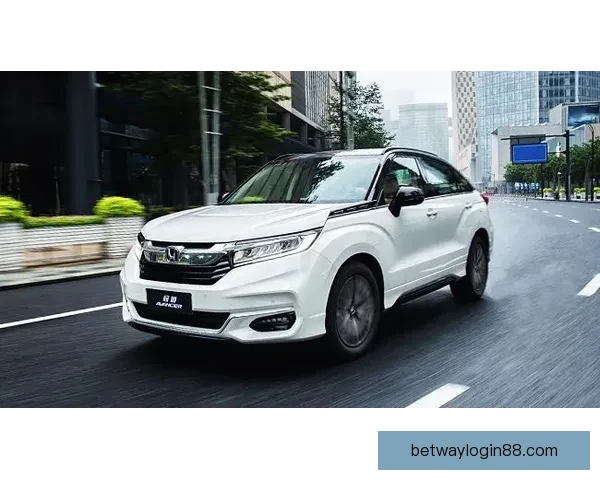 必威体育登录全新体验攻略及最新优惠活动解析