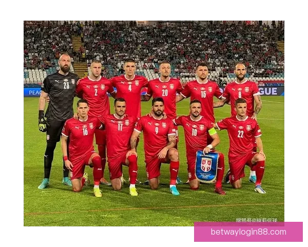 世界杯精彩对决全解析及胜负趋势精准竞猜指南